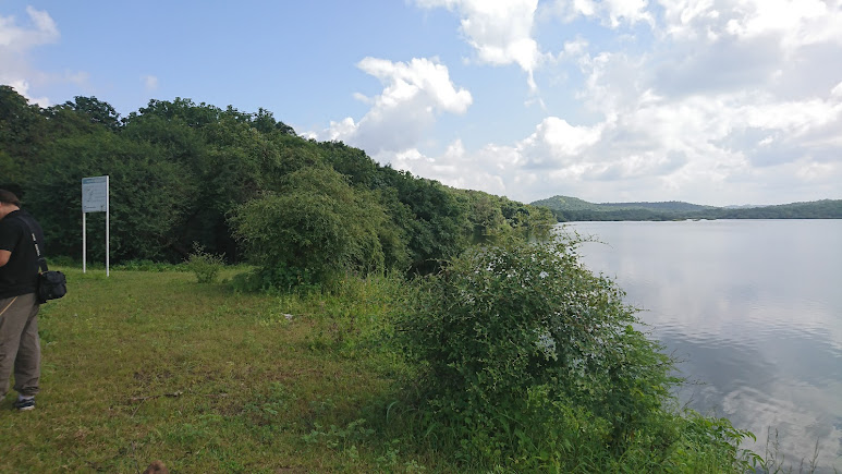 Kamleshwar Dam, photo 4 of 8