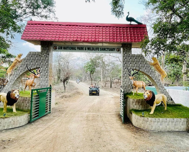 Gir National Park, photo 3 of 9