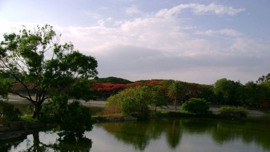 Lalbagh Botanical Garden, photo 2 of 8