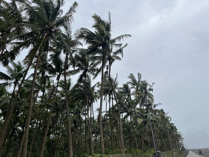Jampore Beach, photo 2 of 7