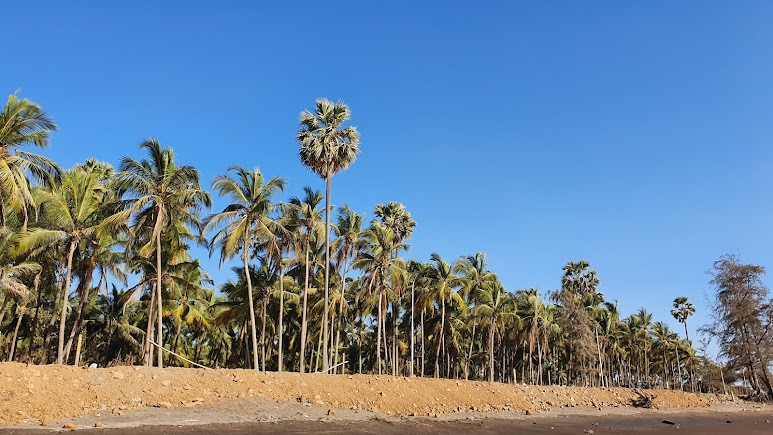 Jampore Beach, photo 3 of 7