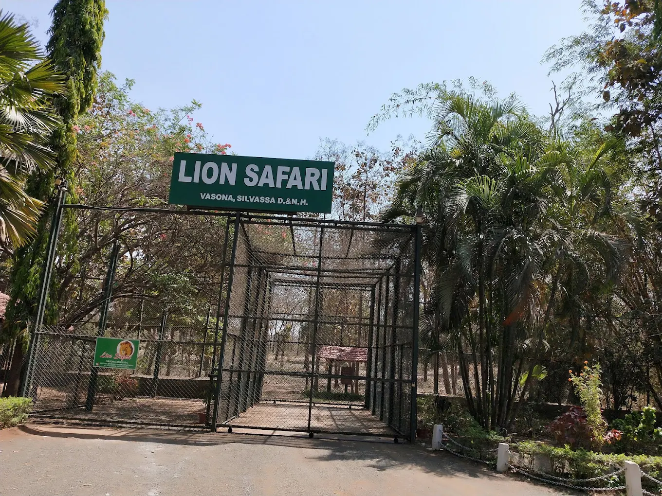 LION SAFARI VASONA SILVASSA DNH, photo 1 of 8