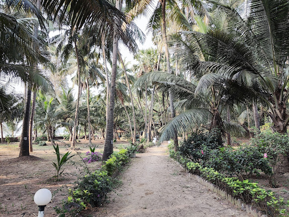 Manori Beach, photo 2 of 7