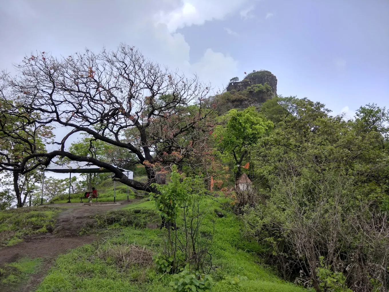 Karnala Bird Sanctuary, photo 3 of 10