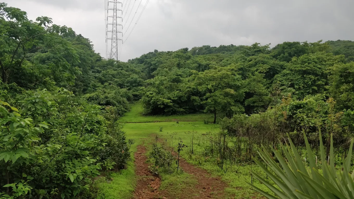 Shilonda Trail, photo 2 of 7