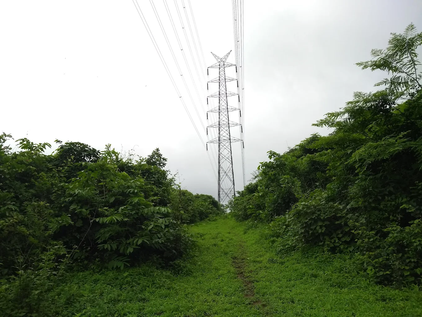 Shilonda Trail, photo 3 of 7