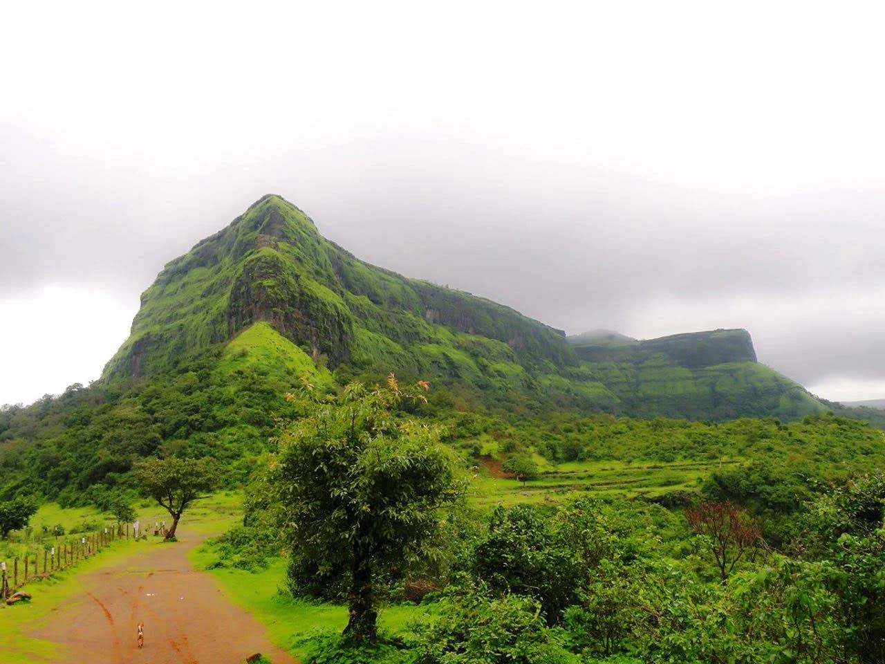 Visapur Fort, photo 4 of 11