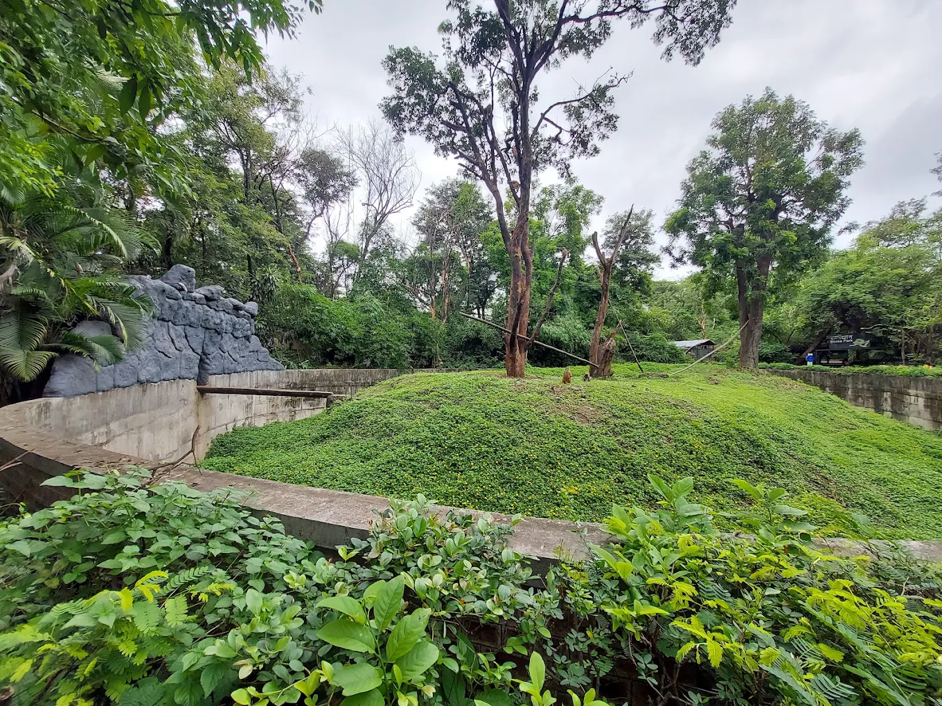 Rajiv Gandhi Zoological Park & Wildlife Research Center, photo 2 of 9