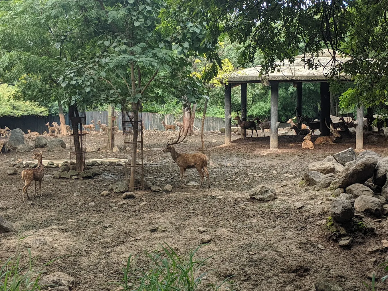 Rajiv Gandhi Zoological Park & Wildlife Research Center, photo 4 of 9
