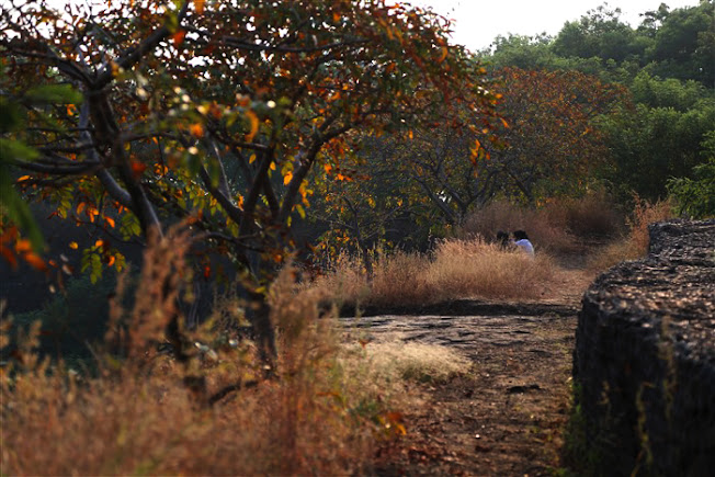 Vetal Tekdi, photo 1 of 6