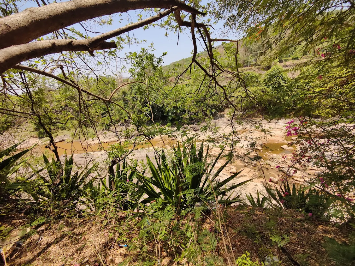 Bhuleshwar Temple, photo 3 of 9