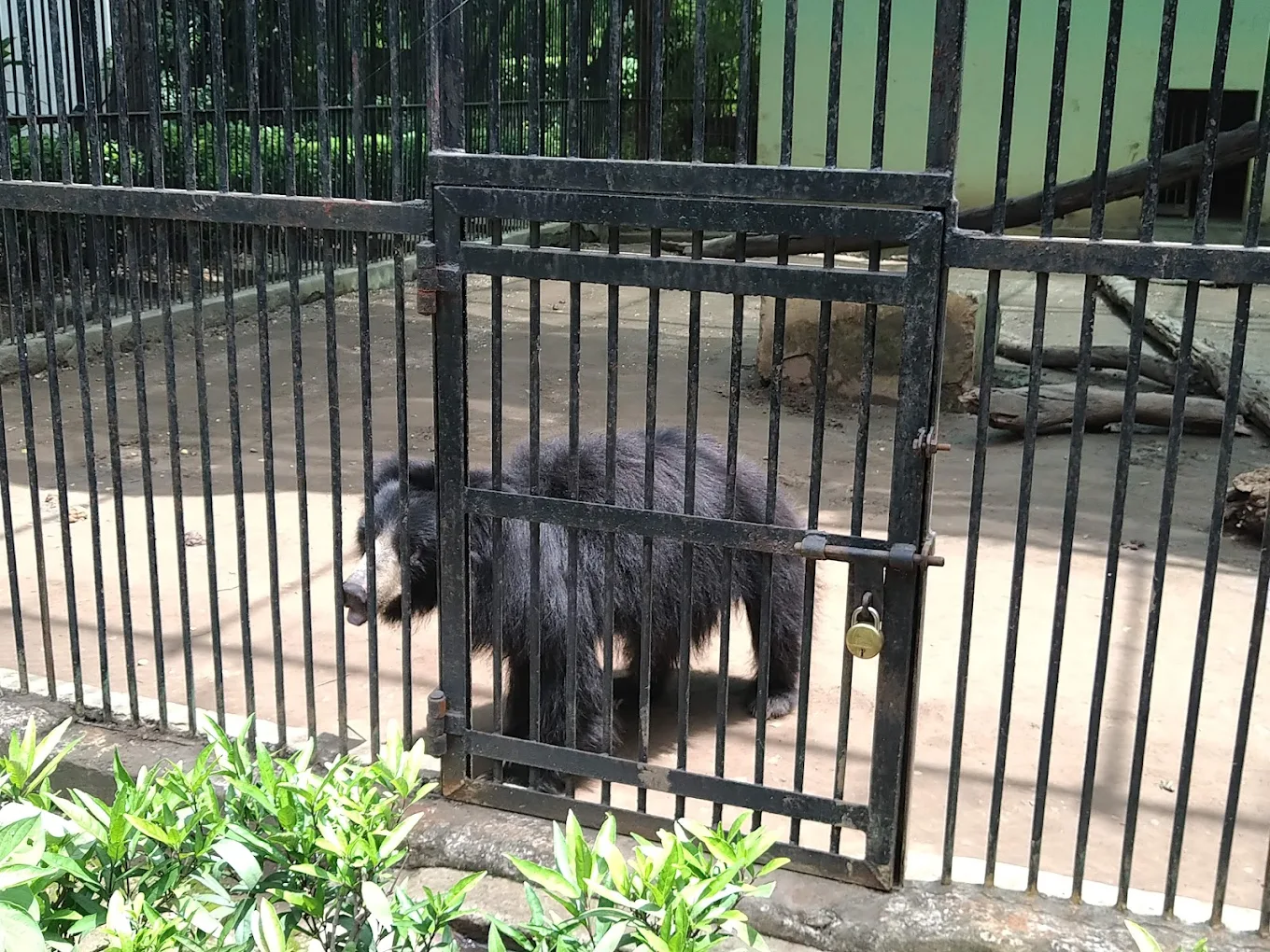 Maharaj Bagh Zoo, photo 3 of 9