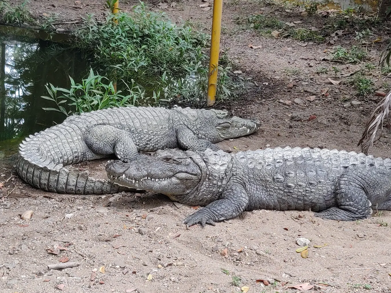 Nagpur, Maharashtra