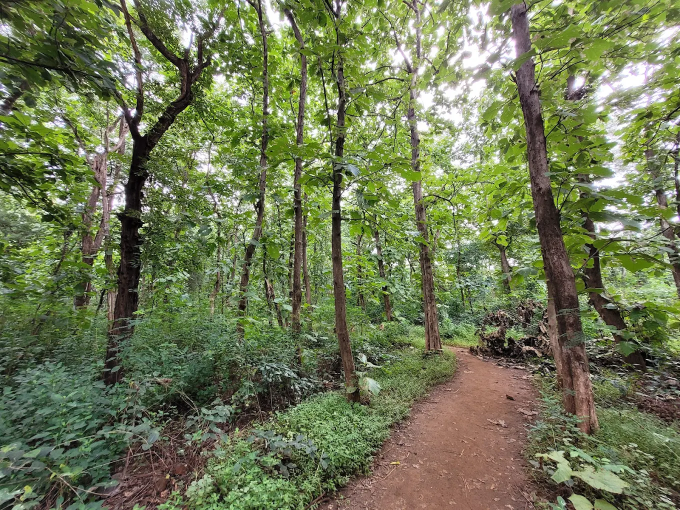 Japanese Garden, photo 1 of 6