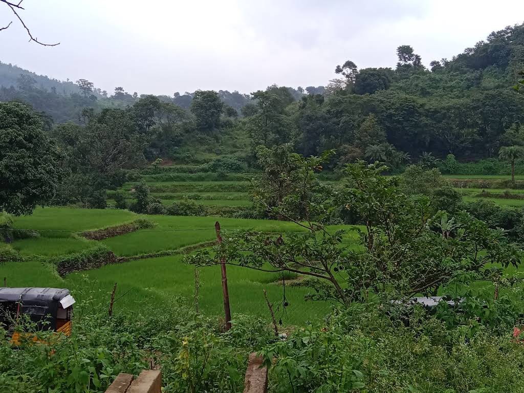 Ananthagiri hills, photo 4 of 8