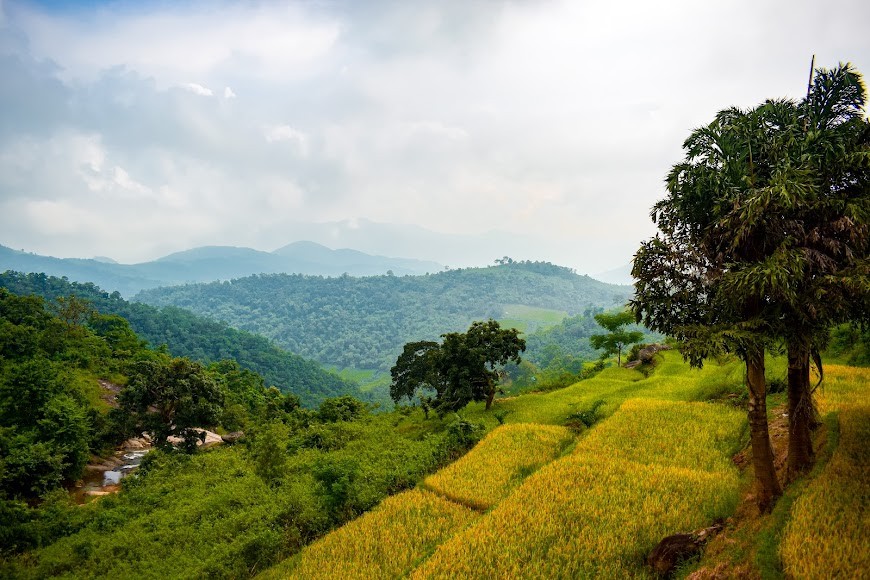 Ananthagiri hills, photo 2 of 8