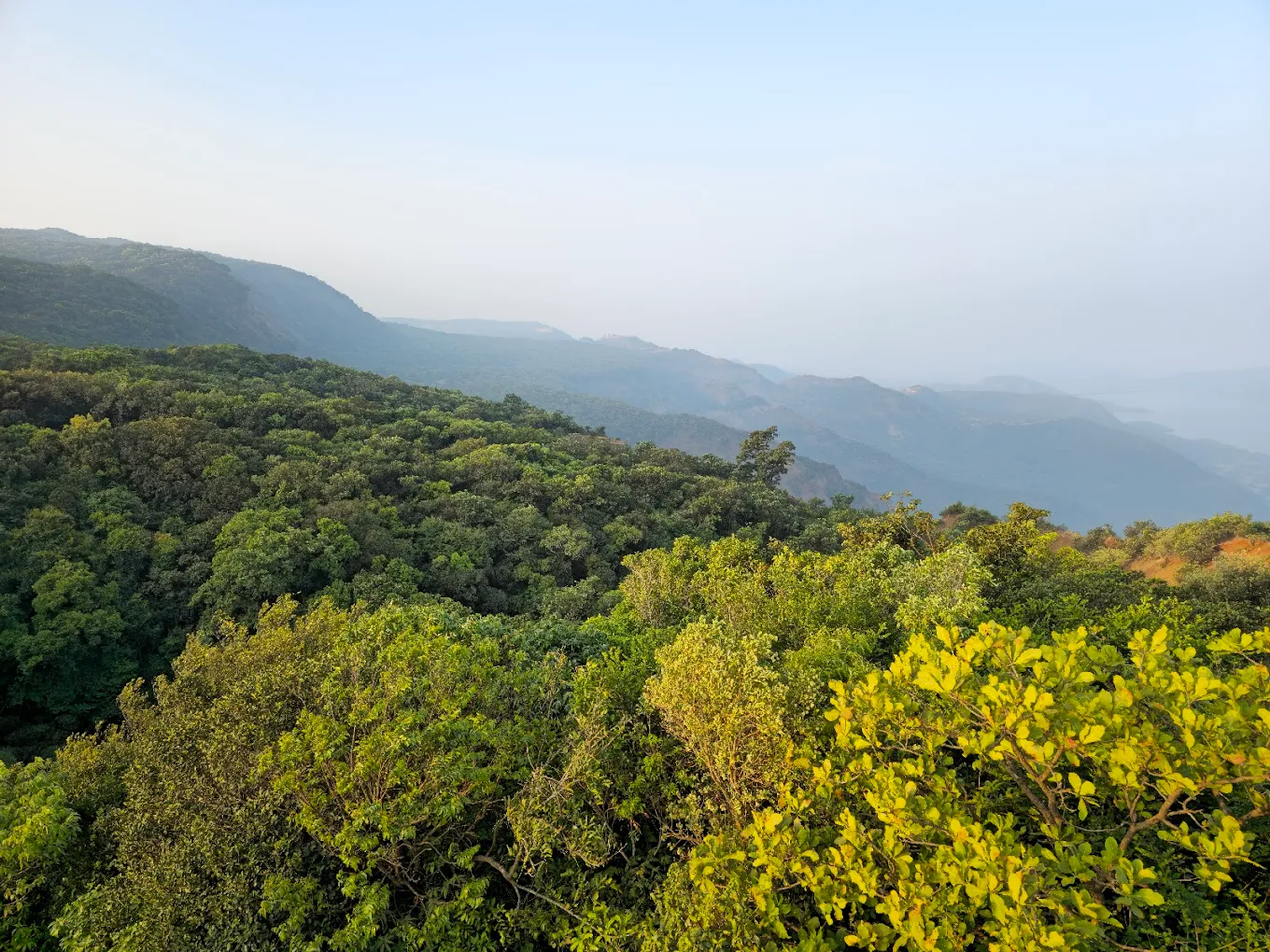 Radhanagari Wildlife Sanctuary, photo 3 of 10