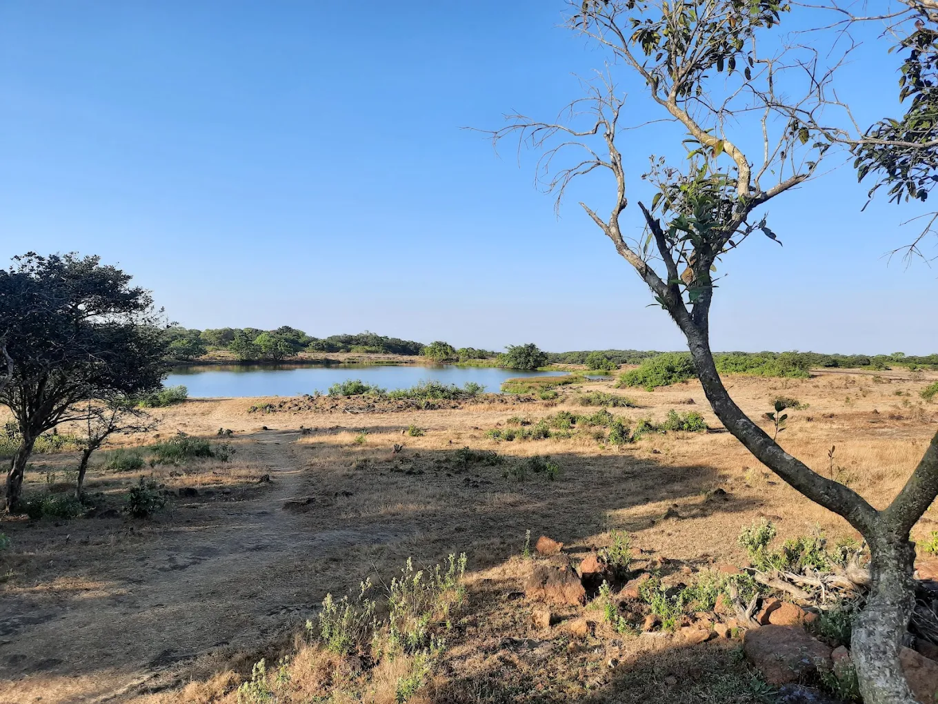 Radhanagari Wildlife Sanctuary, photo 4 of 10
