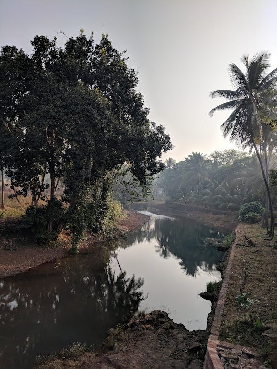 Pawas, photo 3 of 9