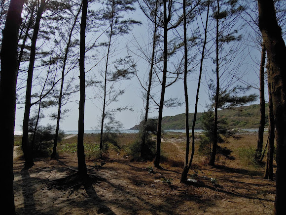 Aare Ware Beach., photo 2 of 7