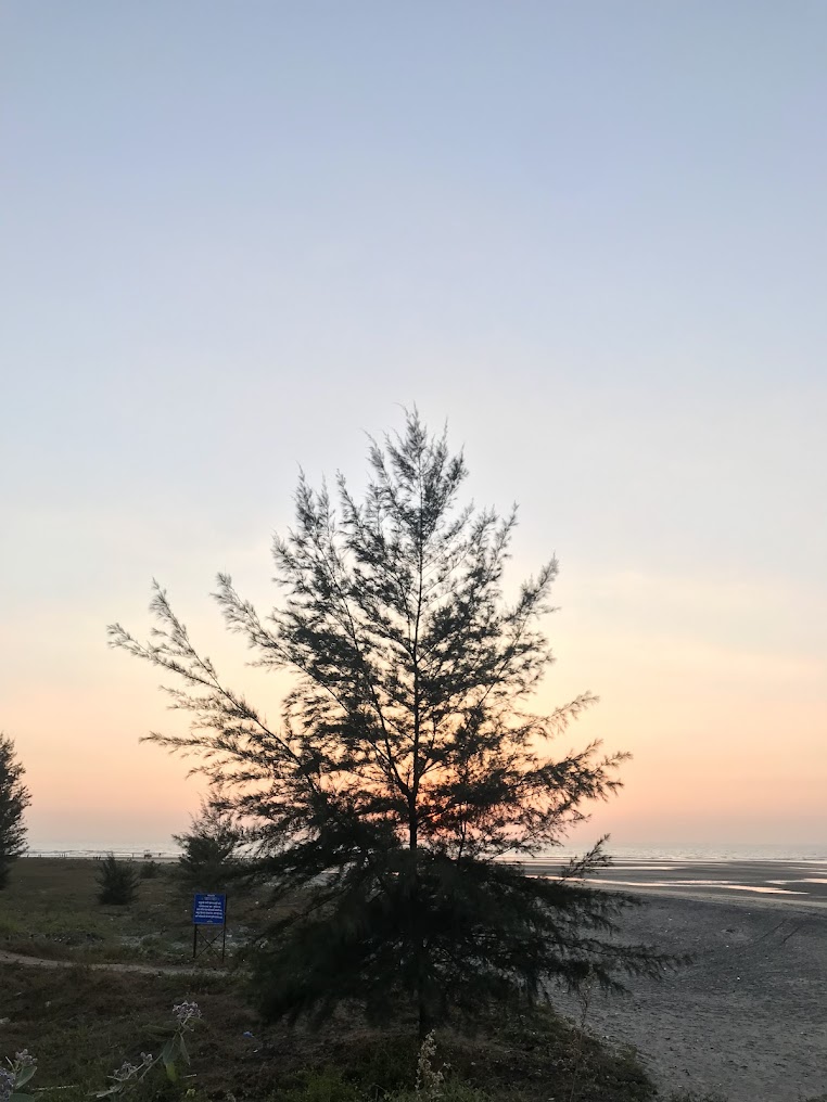 Aare Ware Beach., photo 4 of 7
