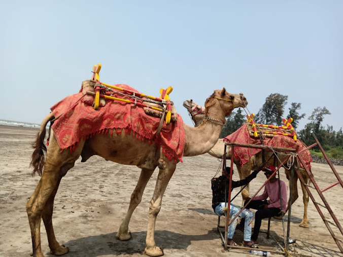 Nagaon Beach, photo 1 of 7