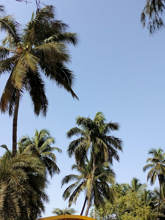 Nagaon Beach, photo 3 of 7