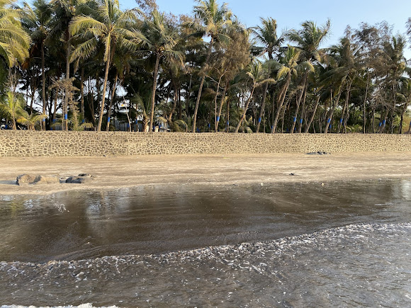 Mandwa Beach, photo 2 of 6