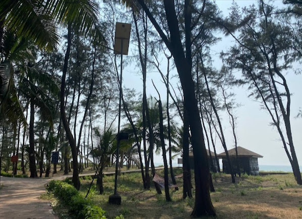 Tarkarli Beach, photo 1 of 7
