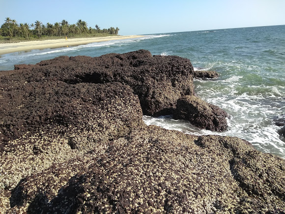 Bhogave Beach, photo 2 of 5