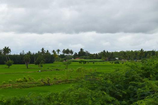 Araku Valley, Andhra Pradesh, photo 4