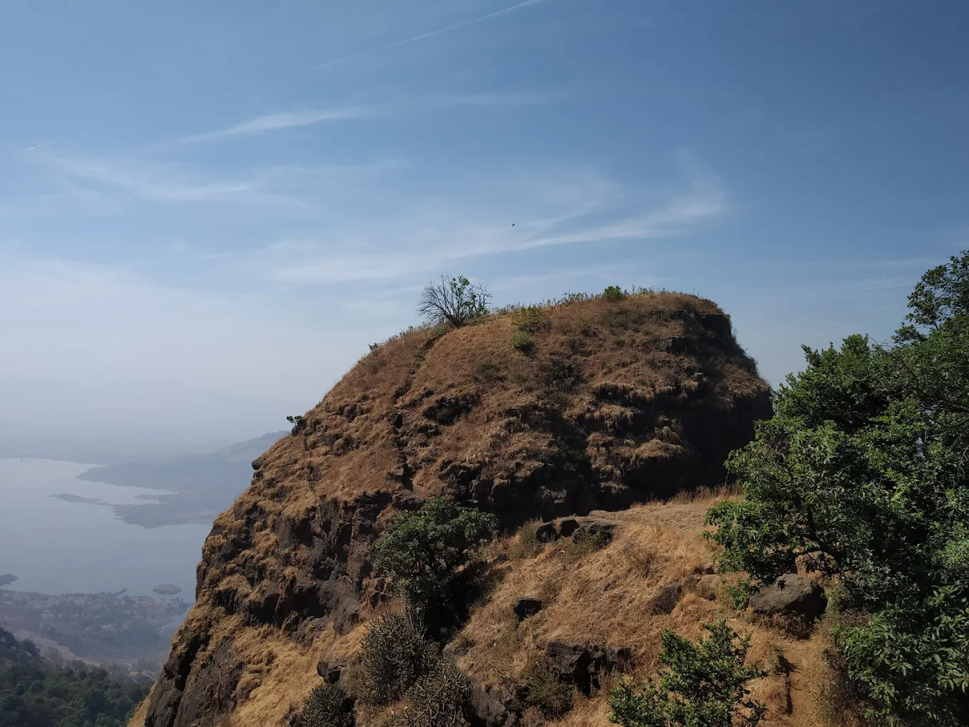 One Tree Hill Point, photo 1 of 7