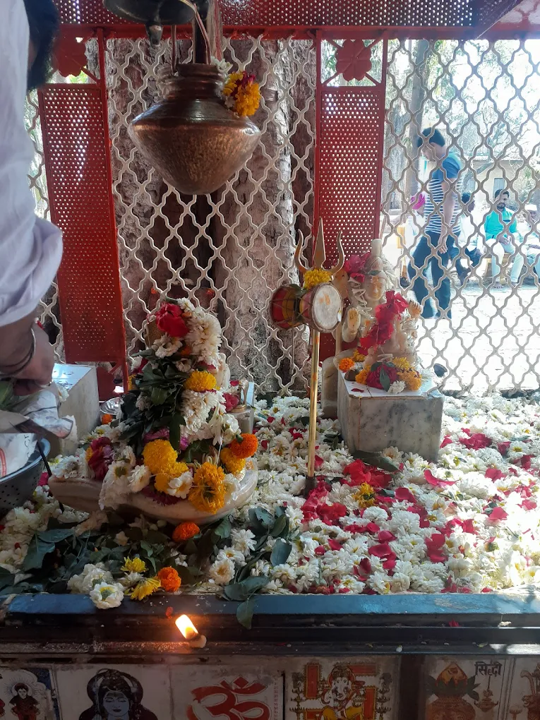 Siddheshwar Temple, photo 1 of 5