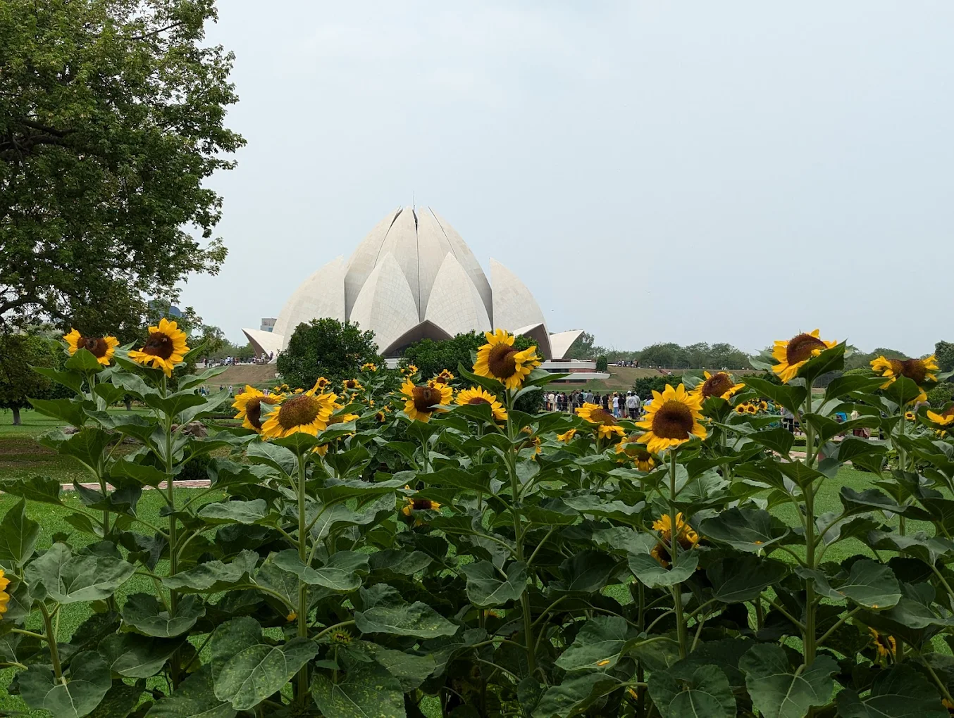 Lotus Temple, photo 2 of 8
