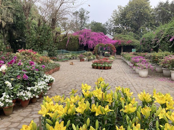 Lodhi Garden, photo 2 of 6