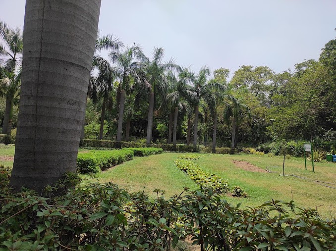 Lodhi Garden, photo 4 of 6