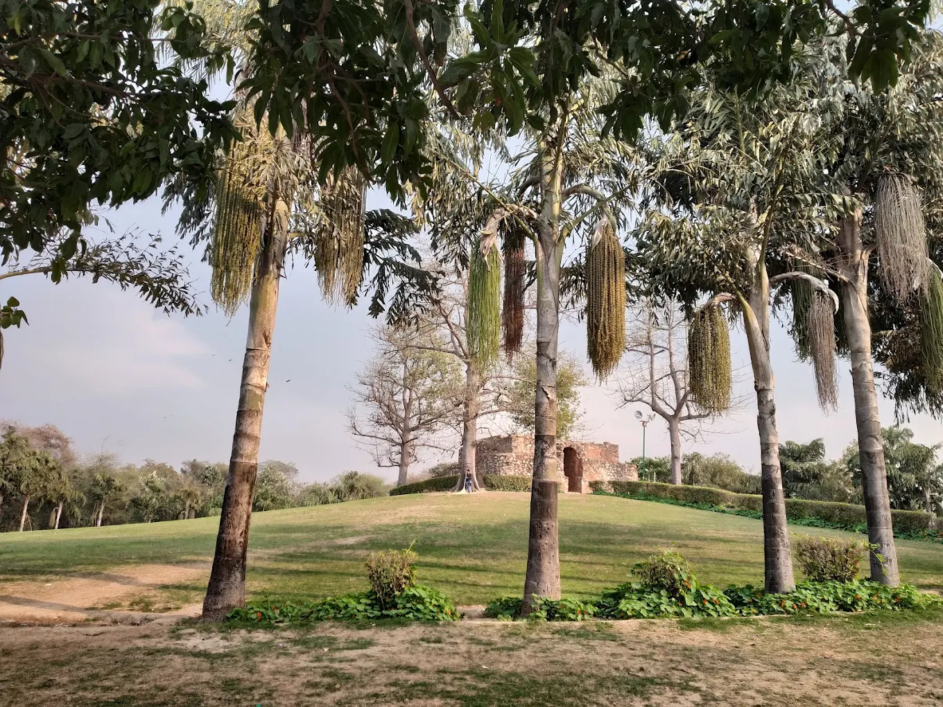 Hauz Khas, photo 4 of 11
