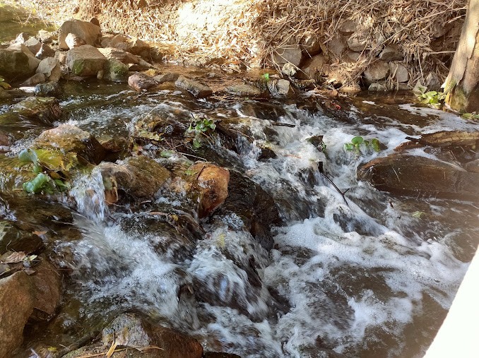 Sanjay Van, photo 2 of 5