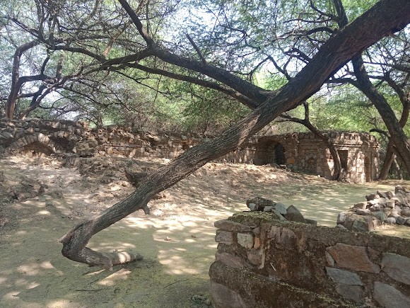 Sanjay Van, photo 4 of 5