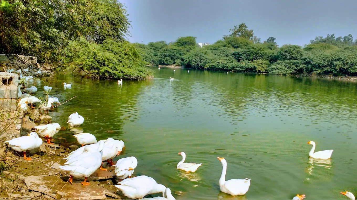 Rohtak, Haryana, photo 4