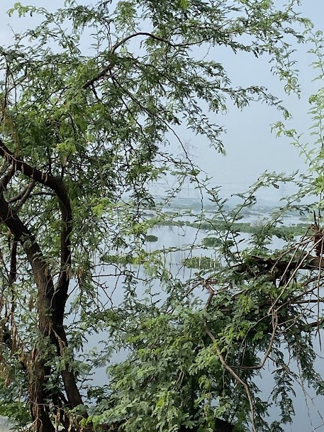 Najafgarh, photo 3 of 4