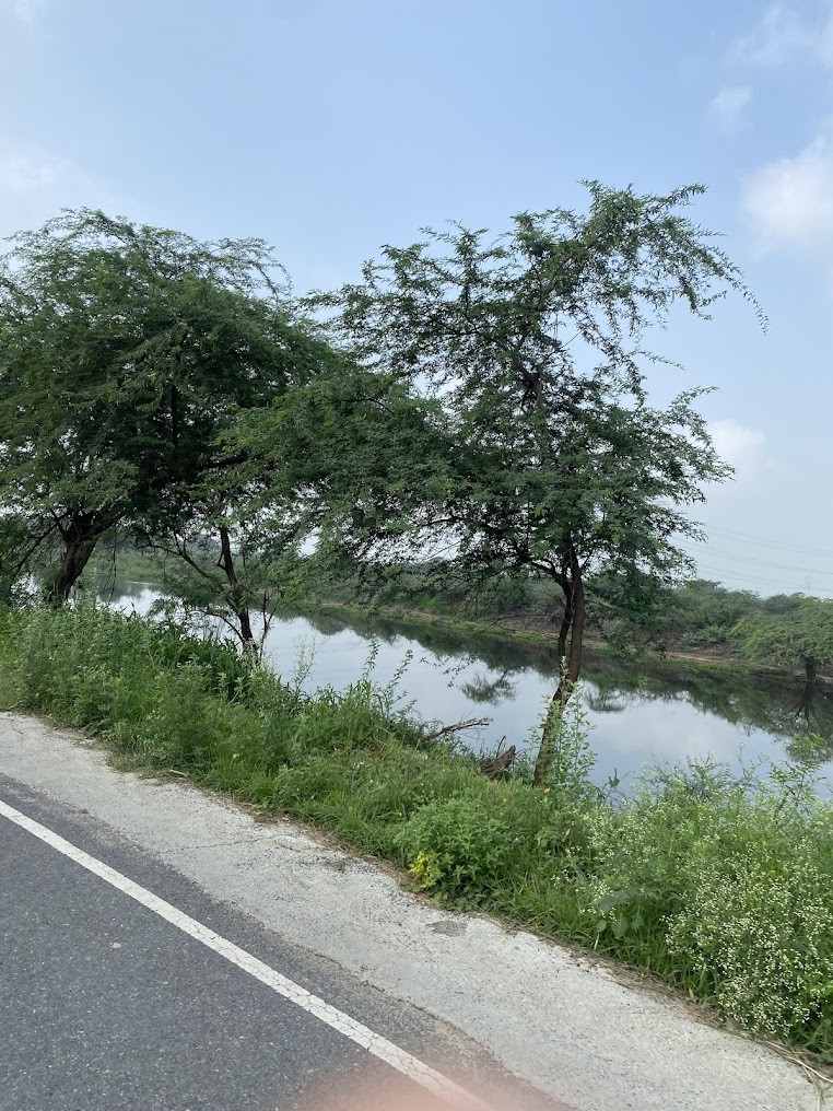 Najafgarh, photo 4 of 4