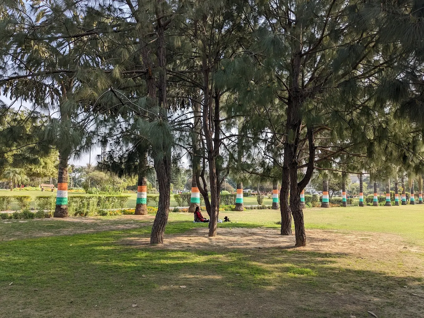 Greater Noida, Uttar Pradesh, photo 4