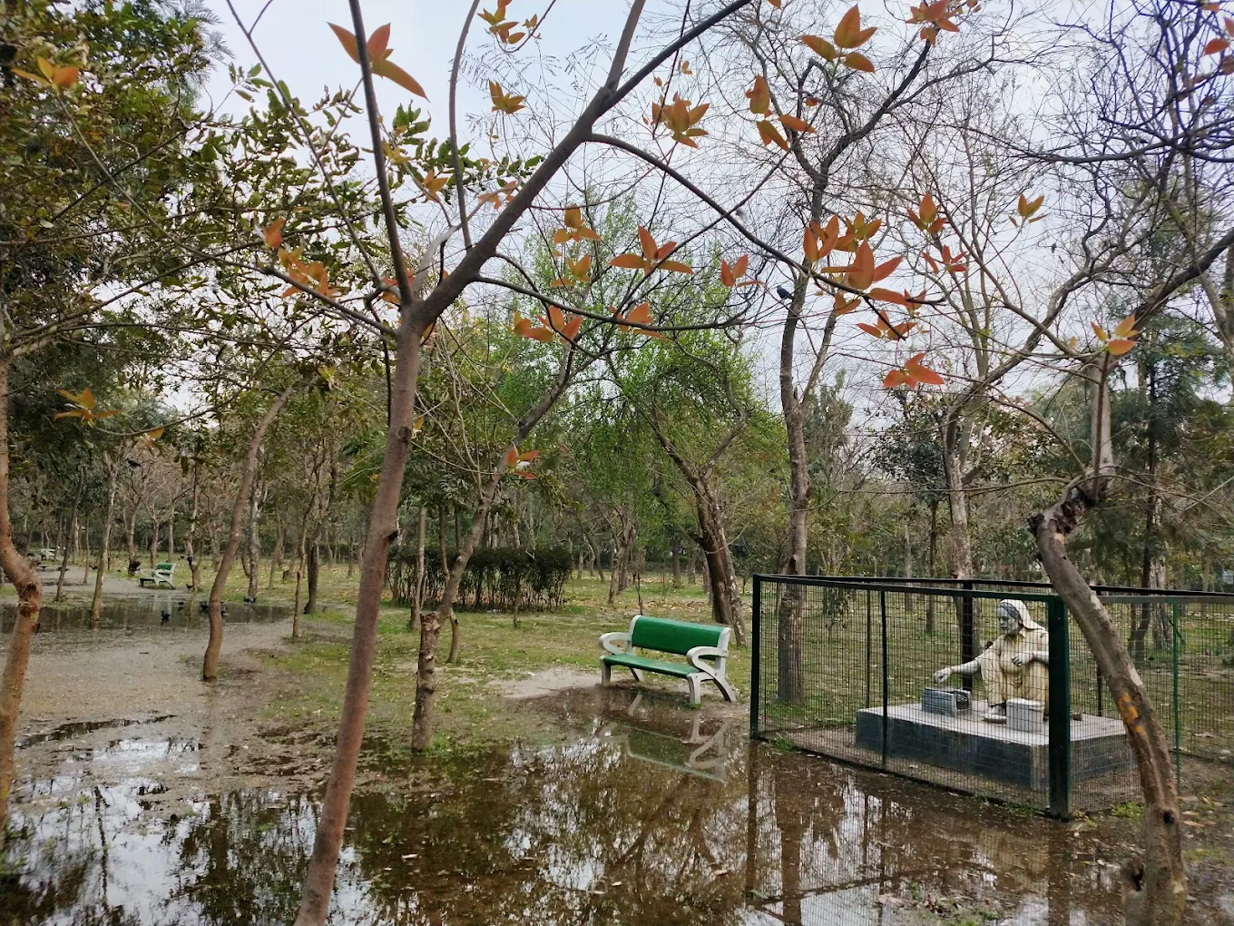 City forest ghaziabad, photo 3 of 9