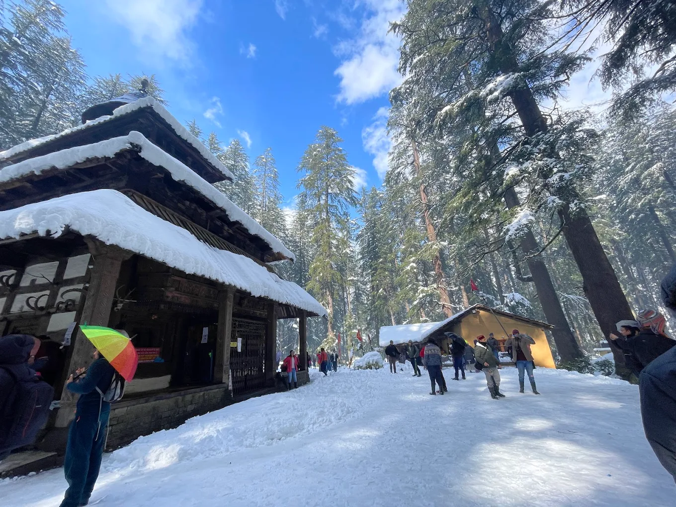 Hadimba Devi Temple, photo 1 of 10