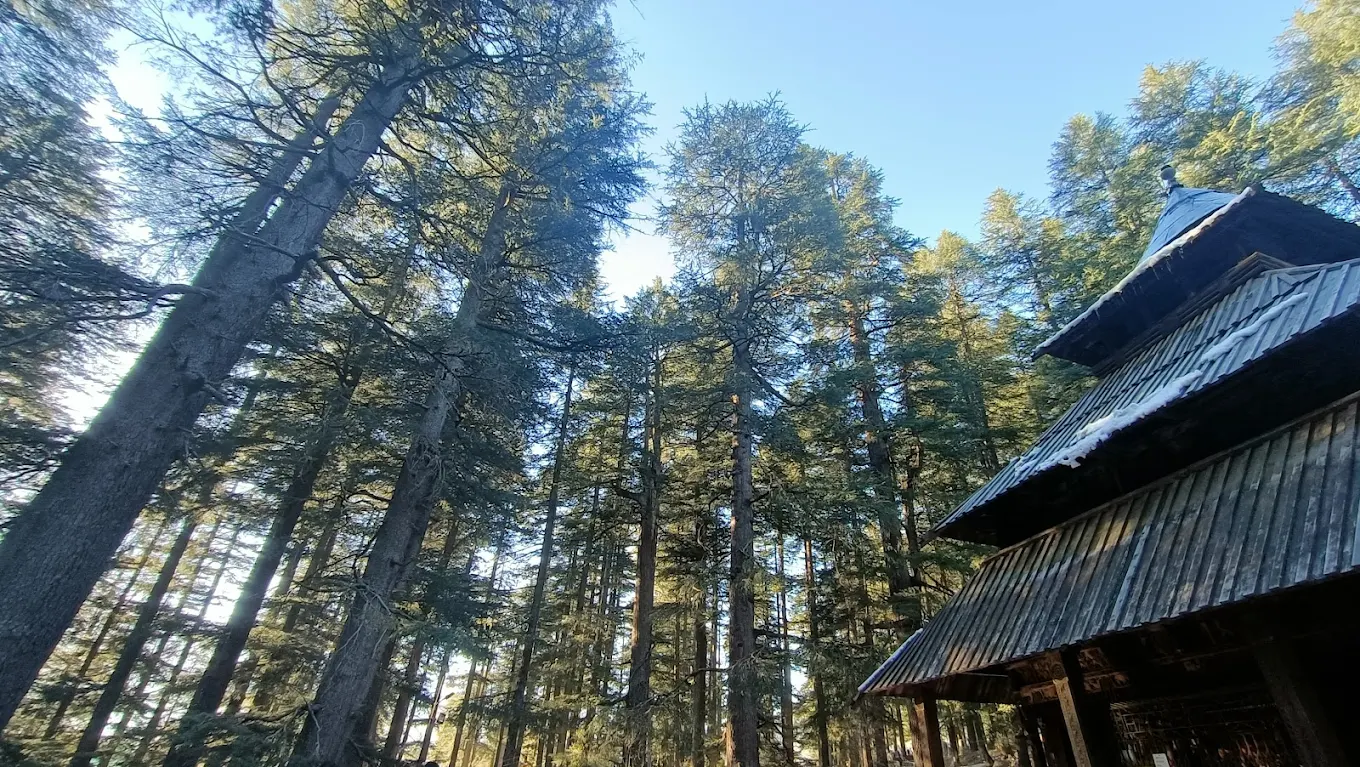 Hadimba Devi Temple, photo 4 of 10