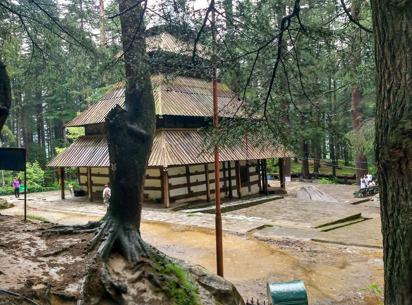 Manali, Himachal Pradesh, photo 2