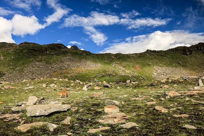 Bhrigu Lake, photo 4 of 5