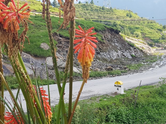Manali, Himachal Pradesh, photo 3