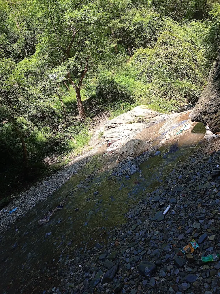 Chadwick Falls, photo 1 of 9